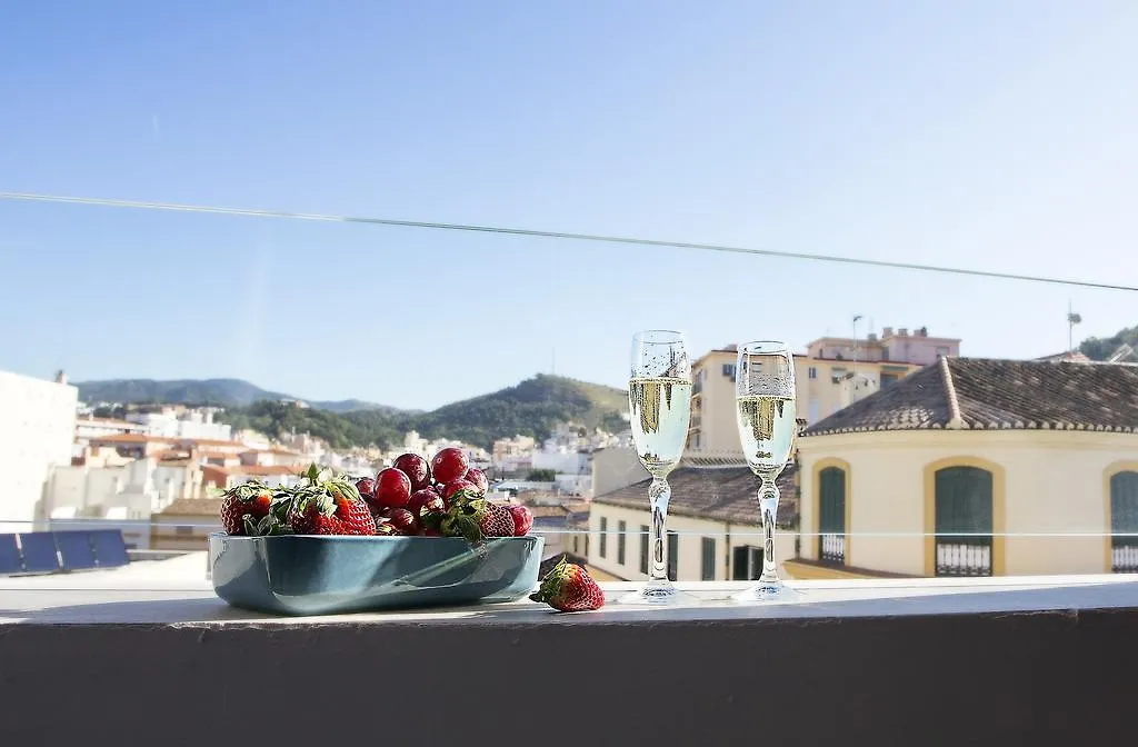 Picasso'S Birthplace Views Malaga Apartment