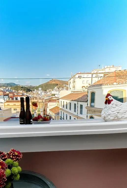 Picasso'S Birthplace Views Malaga Apartment